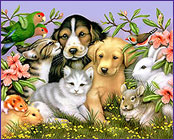 Pets